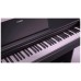 Yamaha Digitalni klavir, 88 tipki, 2 x 8W, 2 x 12 cm zvučnici - YDP-145R Arius
