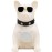 SAL Zvučnik bežični, Bluetooth, FM radio, USB, 5W - BT DOG