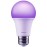 Xiaomi Sijalica, pametna, 8.5 W, E27, Bijela & Color - Mi Smart LED Bulb (White and Color)