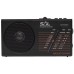 SAL Radio prijemnik, solarno / baterijsko napajanje, Bluetooth - RPH 1