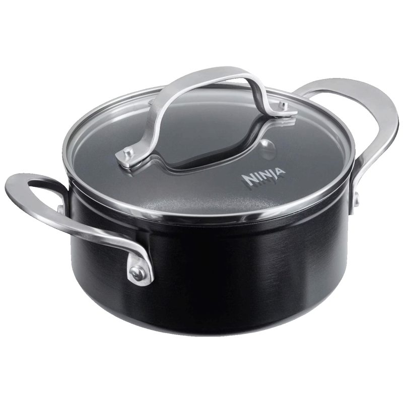 Ninja Lonac sa staklenim poklopcem 16 cm, Zerostick Essentials - C10216DE