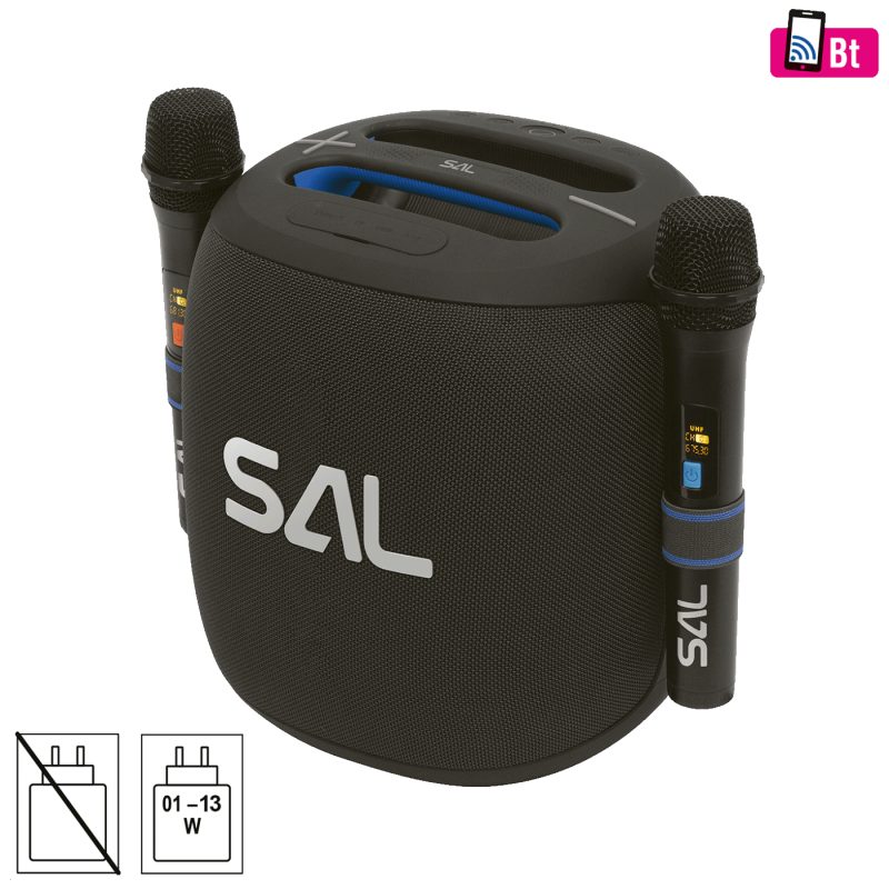 SAL Zvučnik bežični sa mikrofonom,Boombox,Bluetooth,100W,IPX5 - PARCUBE