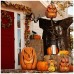 home Dekorativna rasvjeta, Halloween LED lampa, bundeva - DD59029